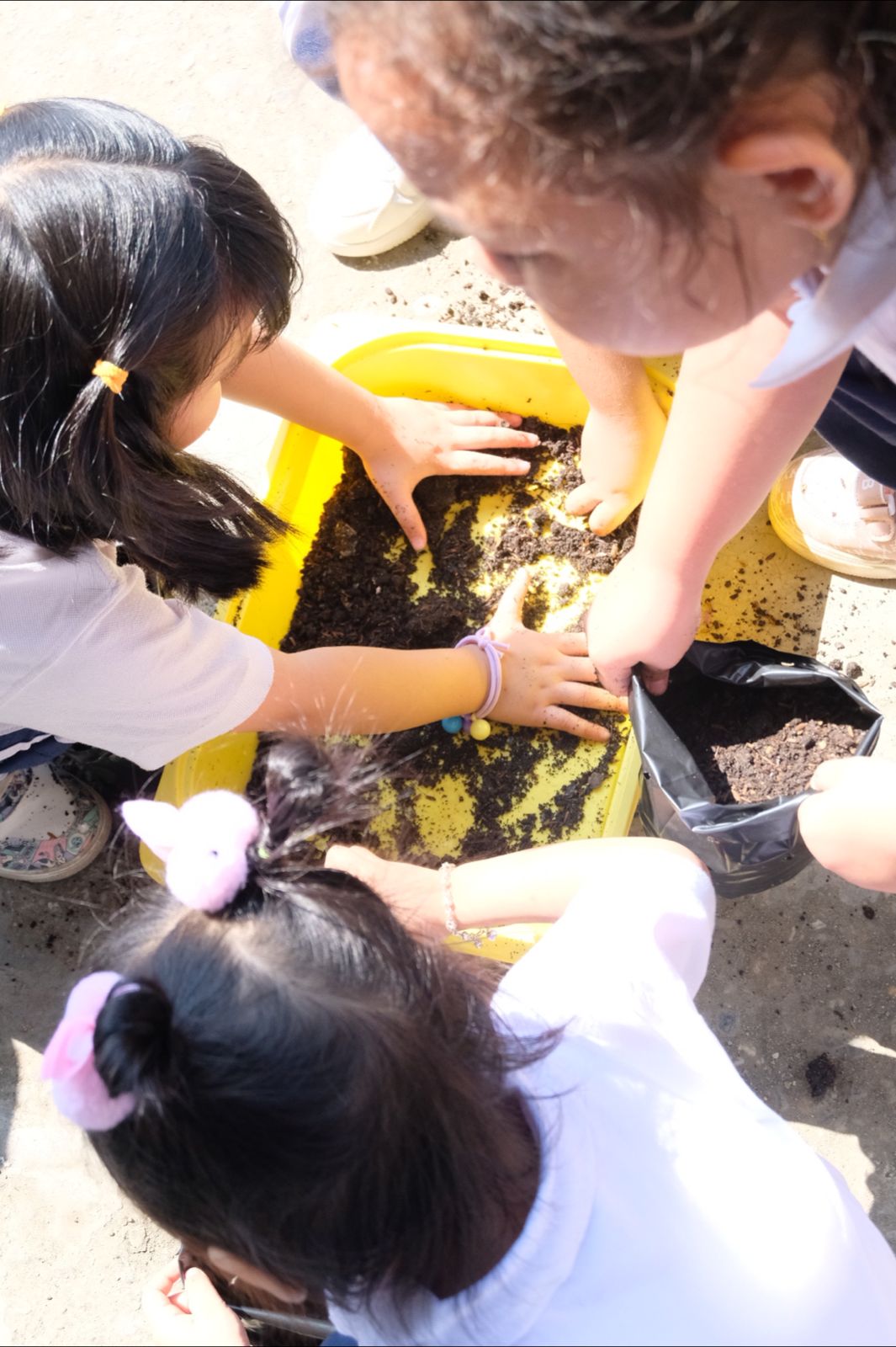 Nurturing growth and responsibility