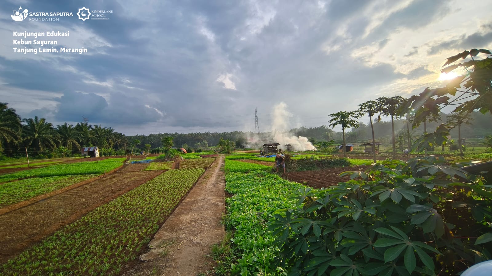 Garden exploration and learning about plants